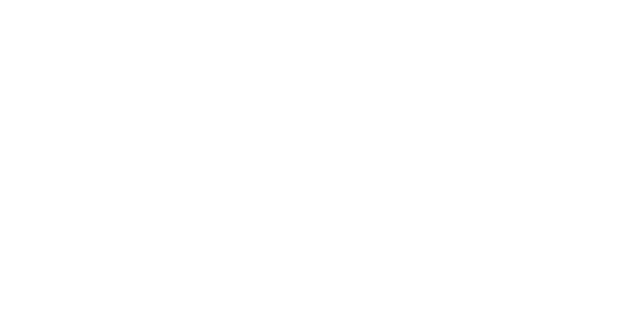 PRM Montage