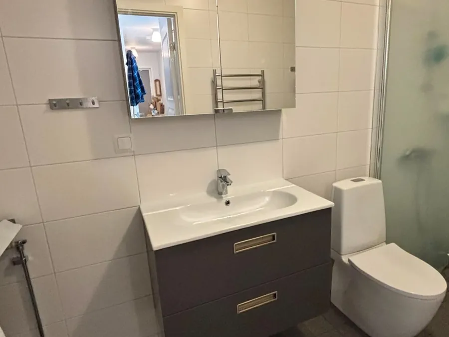 Badrum med kakel i mörk kulör